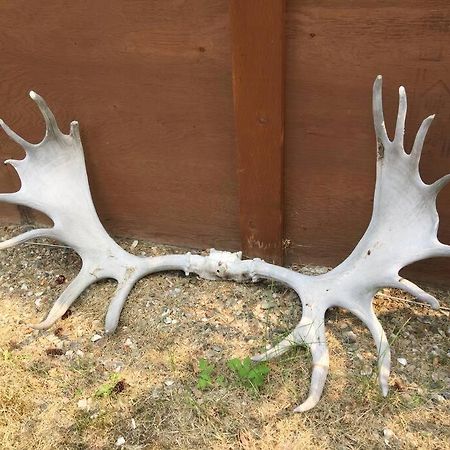 Denali Park Homestead Exterior photo